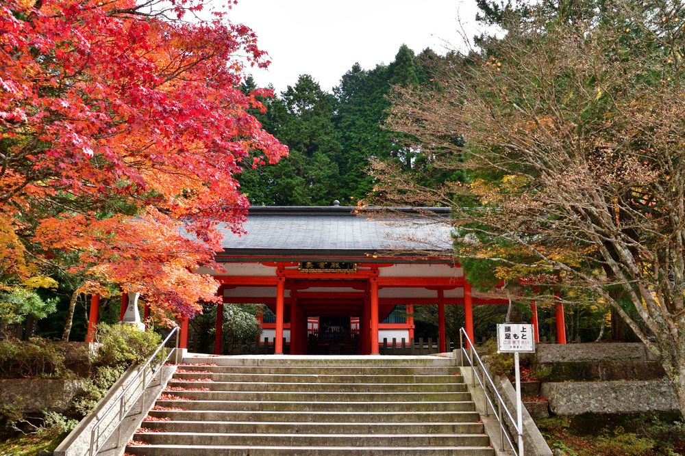 高野山奥之院の画像 - 2枚目