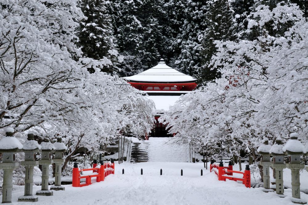 高野山奥之院の画像 - 3枚目