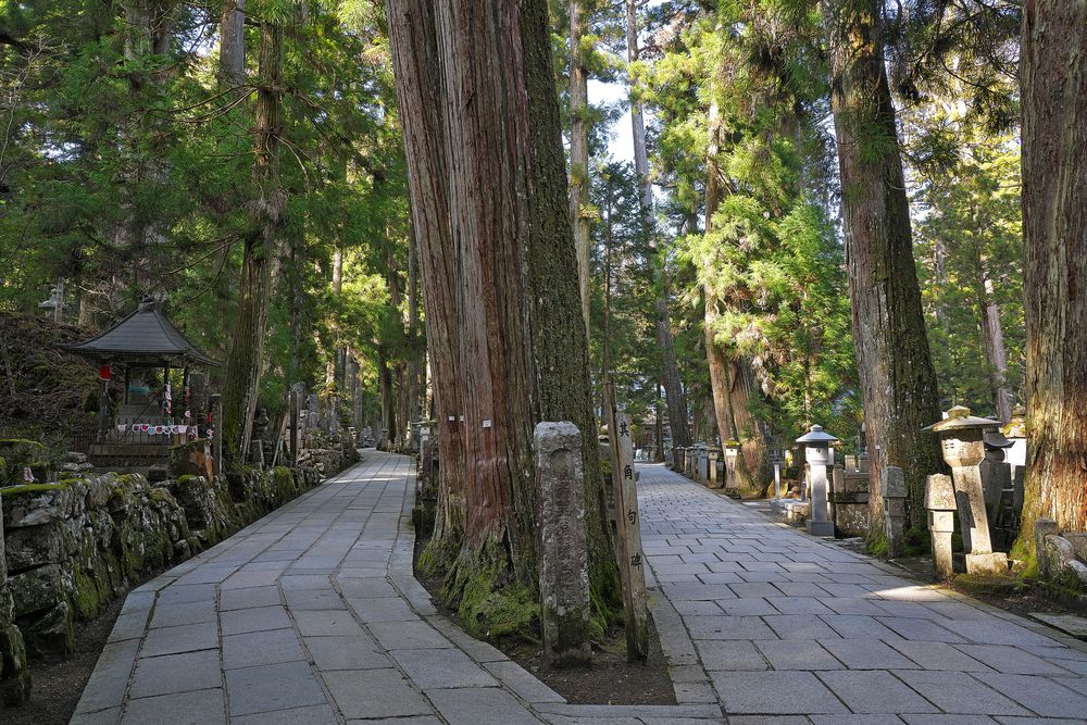 高野山奥之院の画像 - 5枚目