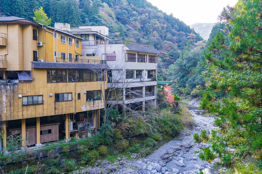 龍神温泉 元湯の画像 - 5枚目