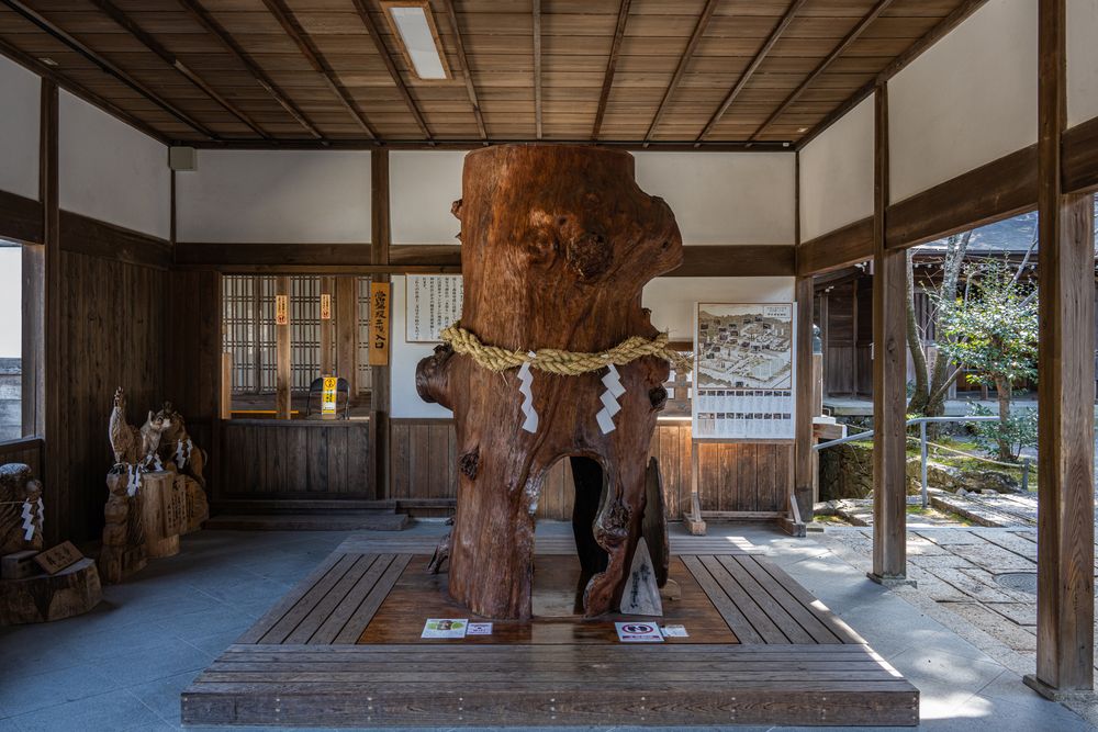 伊太祁曽神社の画像 - 5枚目