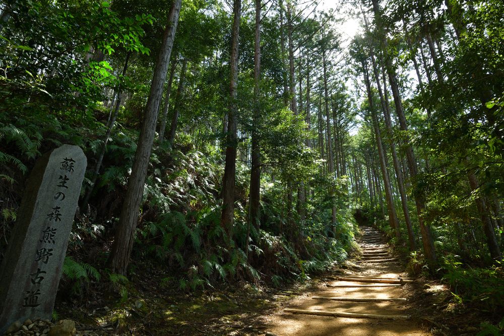 熊野古道中辺路】の周辺スポット・アクセス・口コミ - Prism Japan