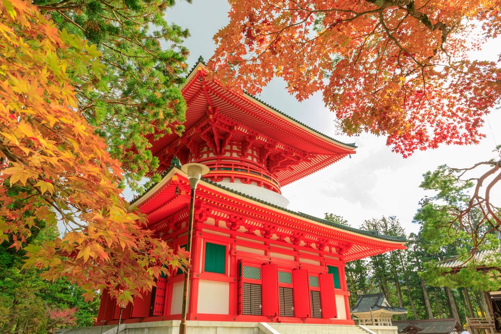 金剛峯寺 根本大塔の画像 - 3枚目