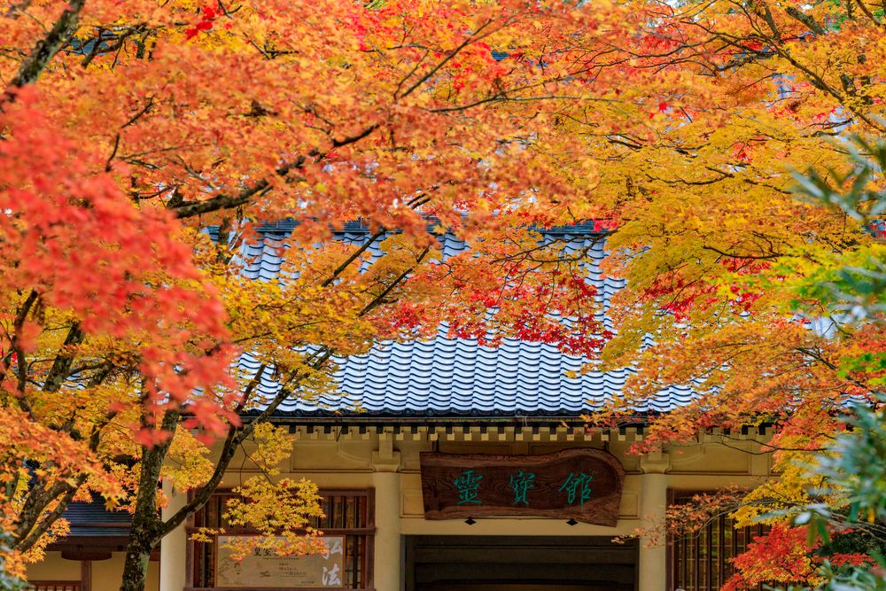 野山名霊集　高野山　五冊物　伊右衛門 野山名霊集 高野山 五冊物 伊右衛門