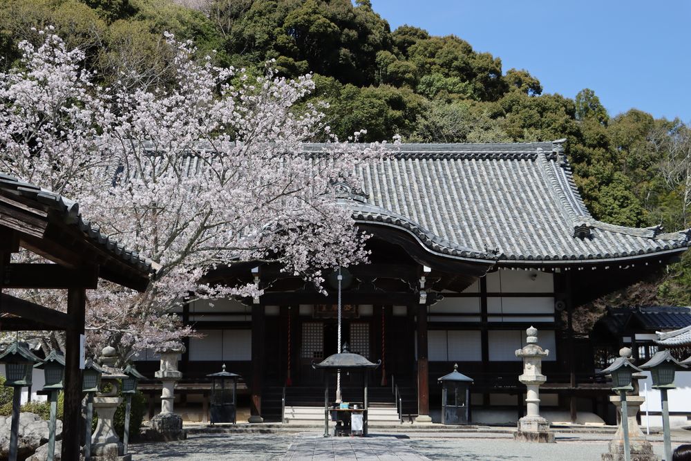 根来寺の画像 - 3枚目