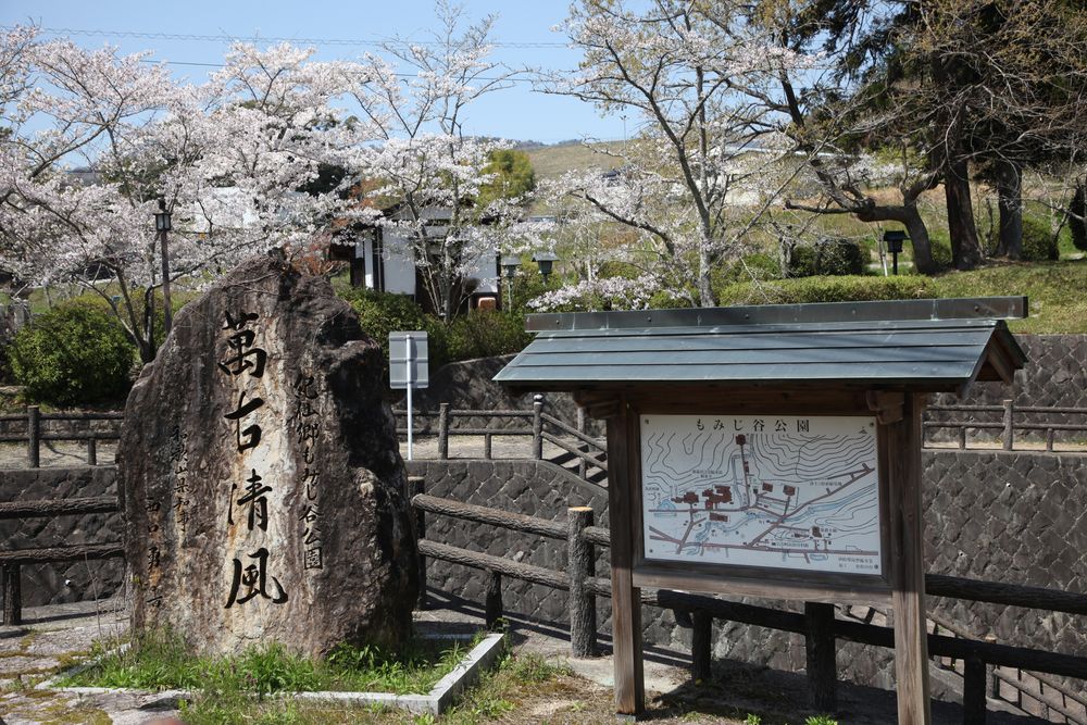 根来寺の画像 - 4枚目