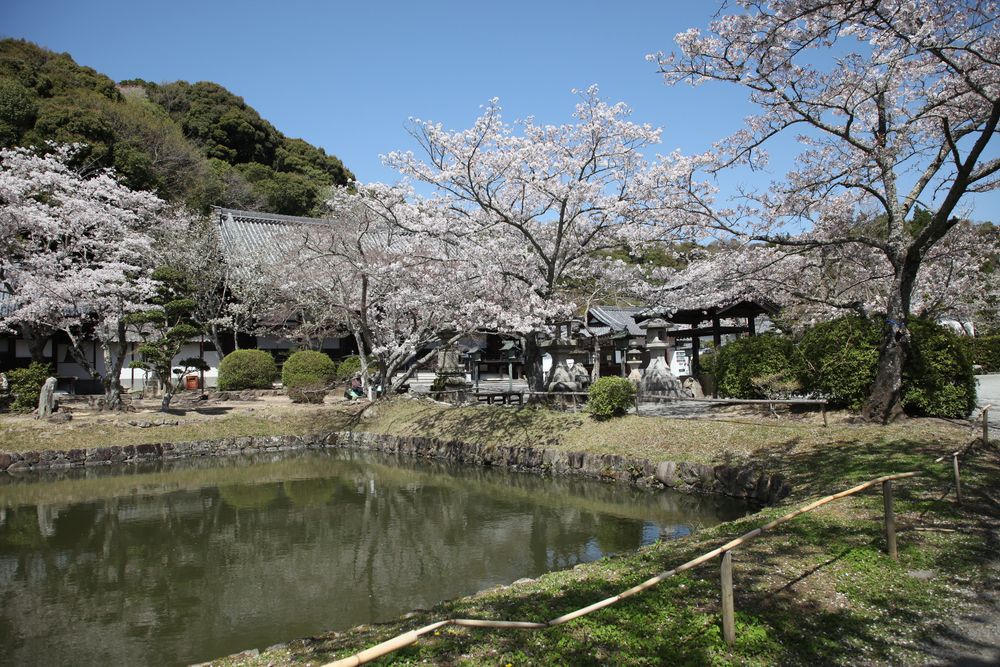 根来寺の画像 - 5枚目