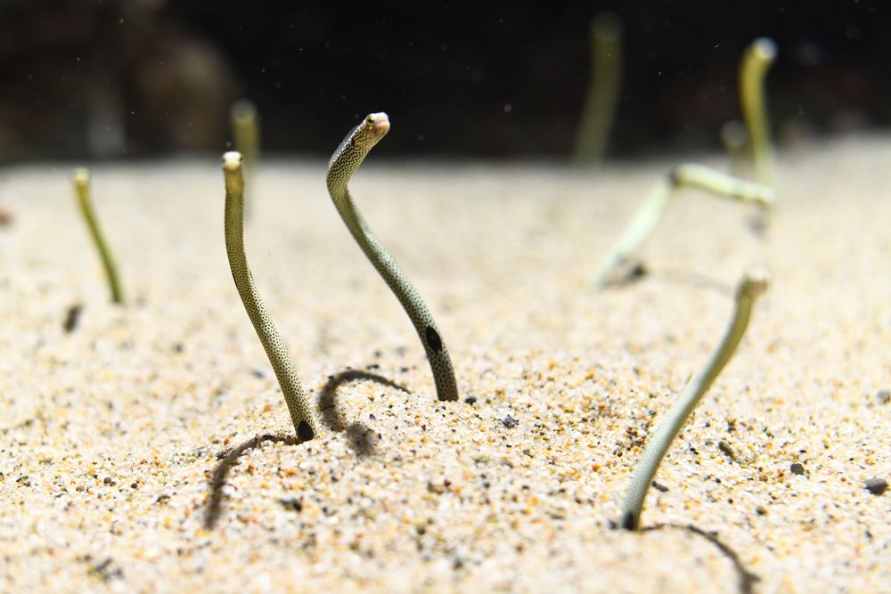 和歌山県立自然博物館の画像 - 3枚目
