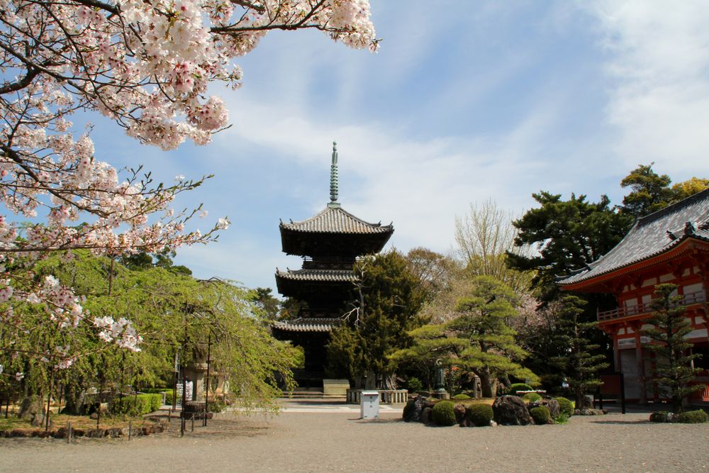 能<1>道成寺 道成寺（どうじょうじ）｜能楽師 杉浦豊彦