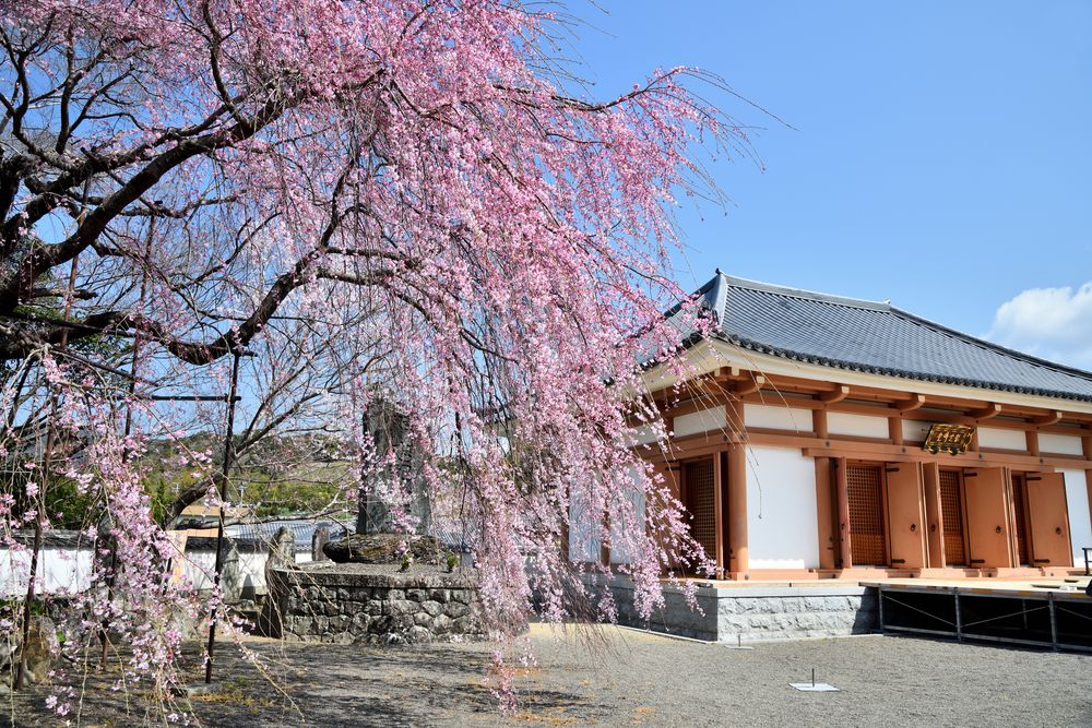 道成寺】の周辺スポット・アクセス・口コミ - Prism Japan