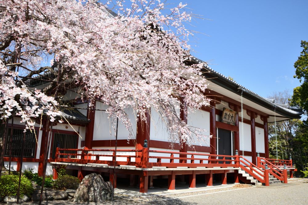 道成寺】の周辺スポット・アクセス・口コミ - Prism Japan