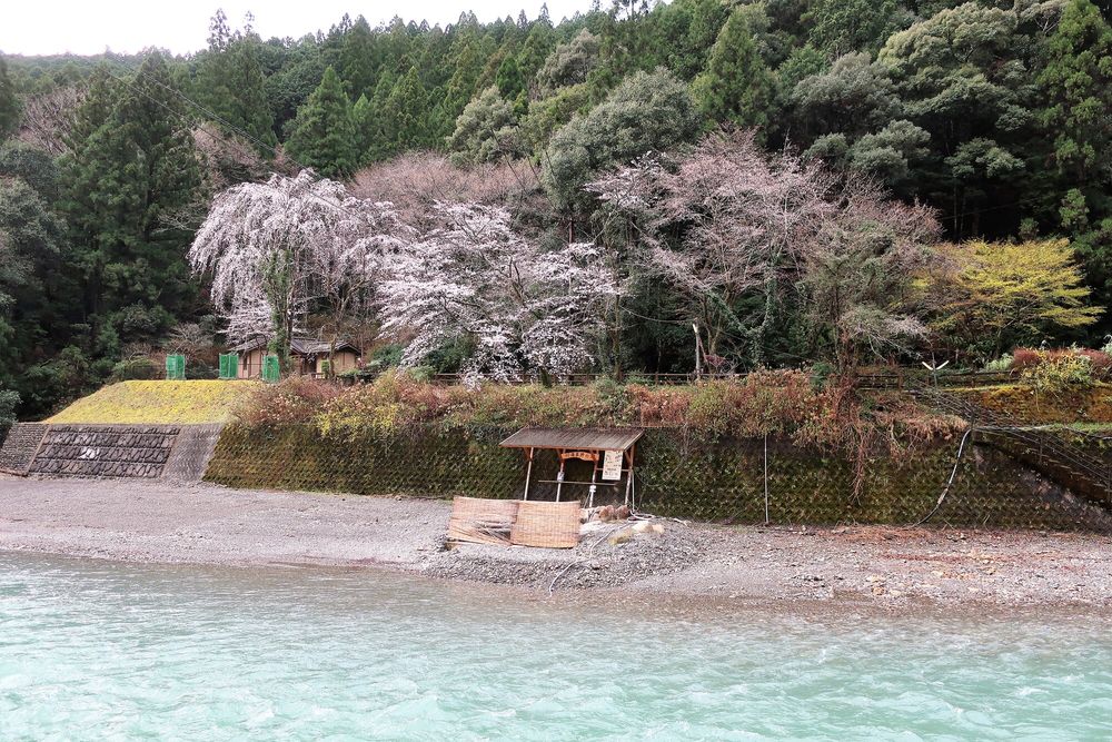 川湯温泉 仙人風呂の画像 - 4枚目