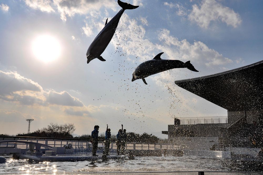 京都水族館の画像 - 2枚目
