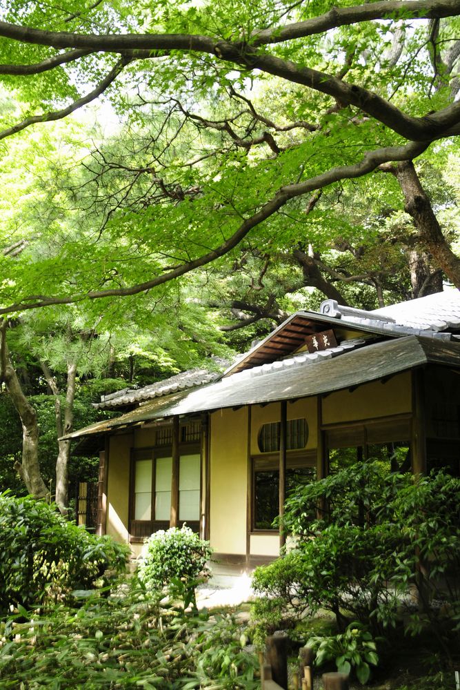 東京都庭園美術館の画像 - 2枚目