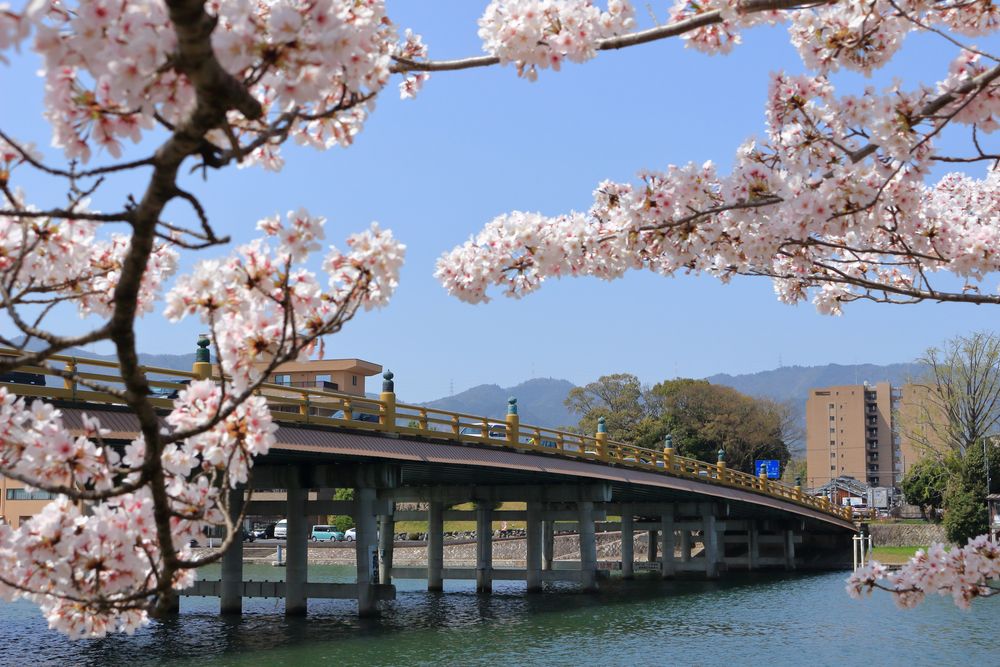 瀬田の唐橋の画像 - 5枚目