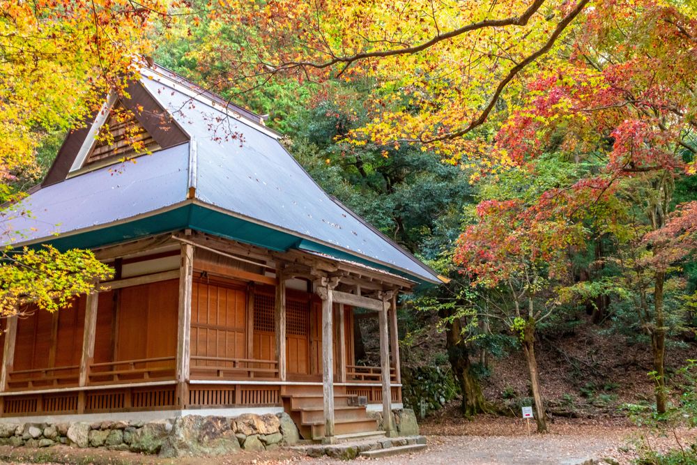 鶏足寺の画像 - 3枚目