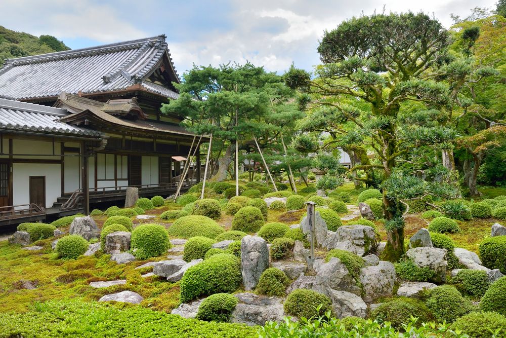 金剛寺の画像 - 2枚目