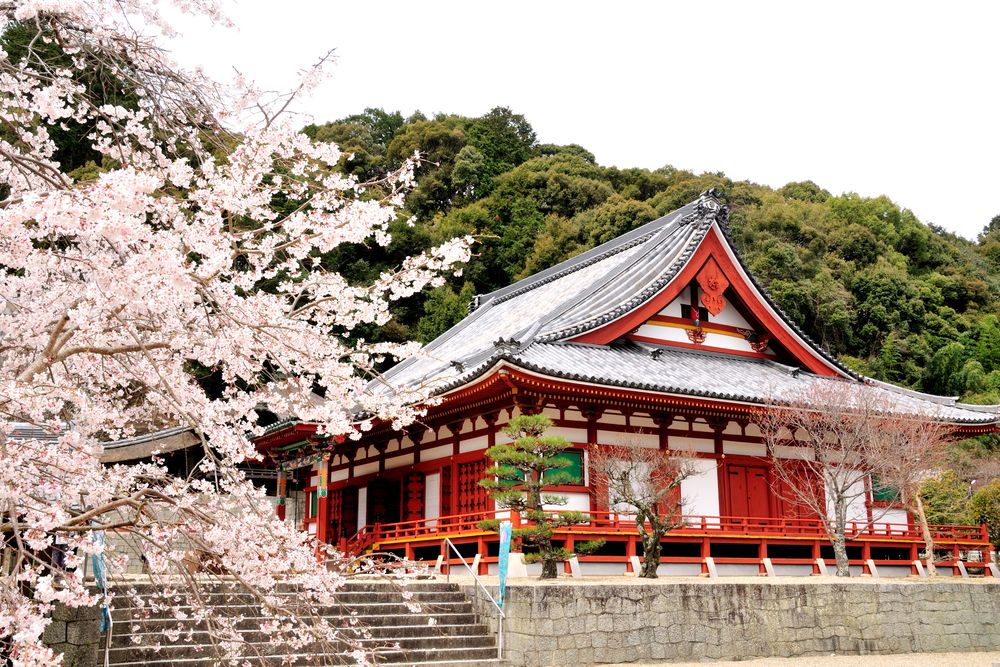 金剛寺の画像 - 5枚目