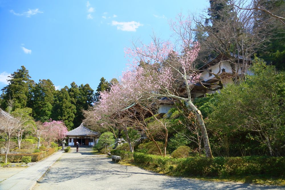 延命寺の画像 - 2枚目