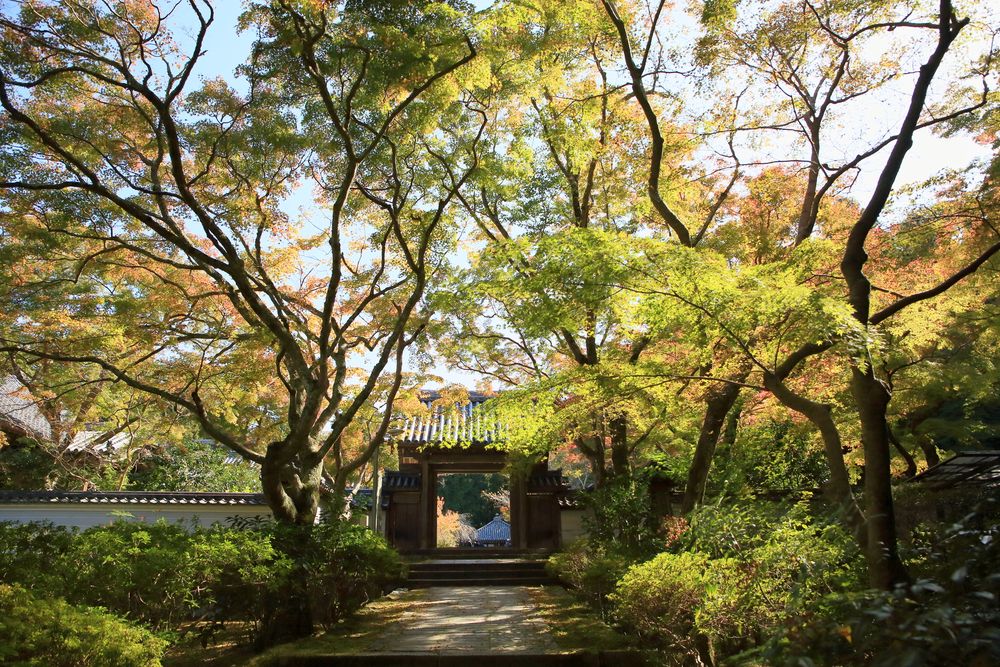 延命寺の画像 - 4枚目