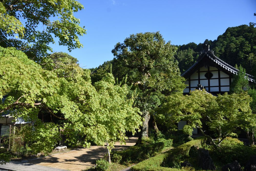 延命寺の画像 - 5枚目