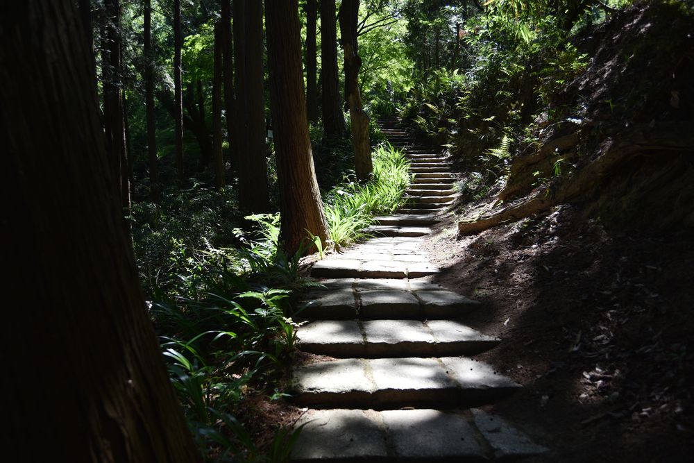 弘川寺の画像 - 3枚目