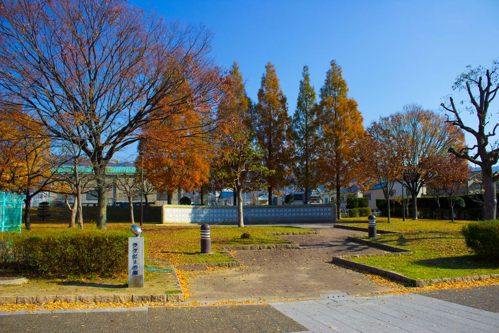 花園中央公園の画像 - 2枚目