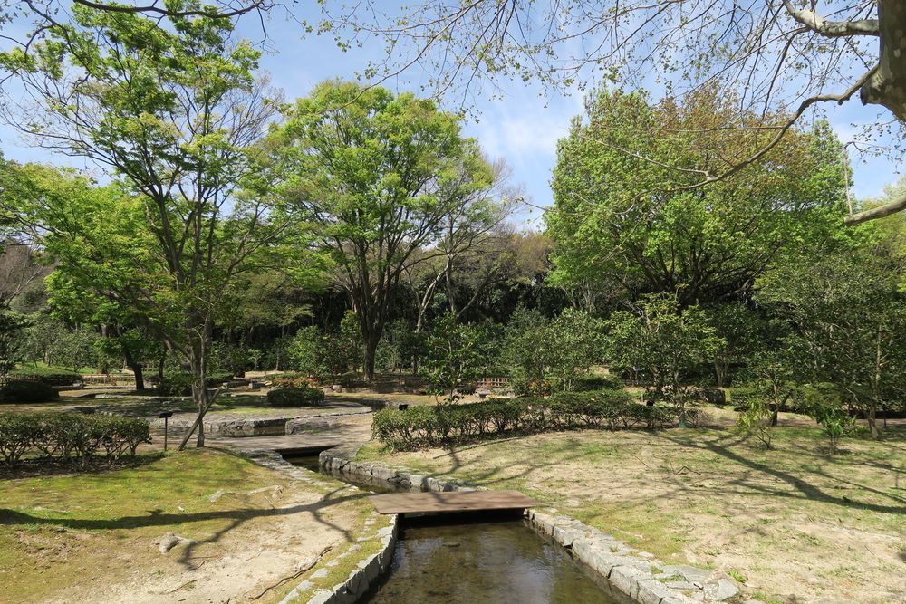 自然文化園の画像 - 3枚目
