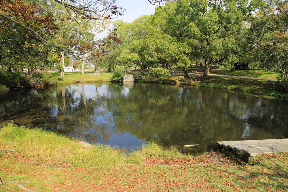 自然文化園の画像 - 5枚目