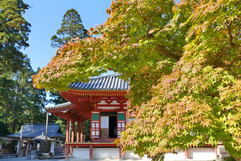 観心寺の画像 - 2枚目