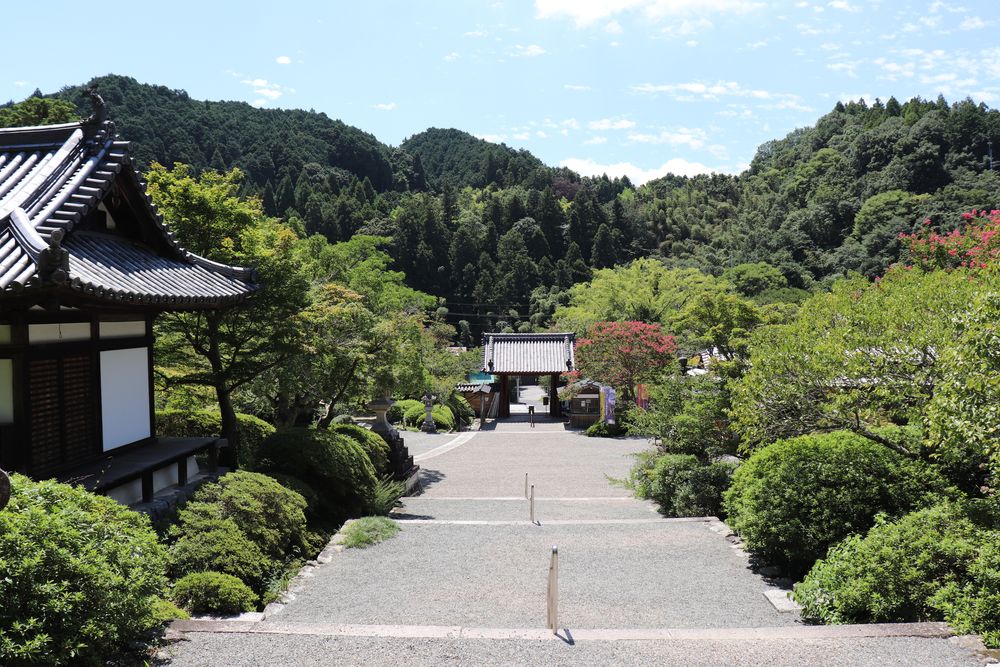 観心寺の画像 - 4枚目