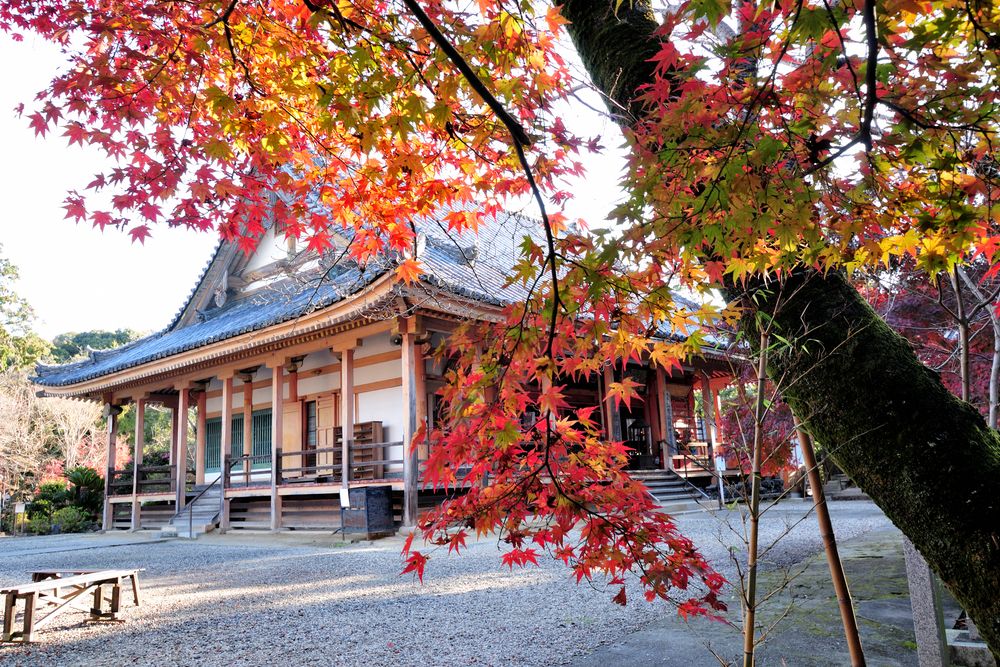 松尾寺の画像 - 3枚目