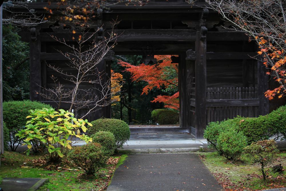 松尾寺の画像 - 4枚目