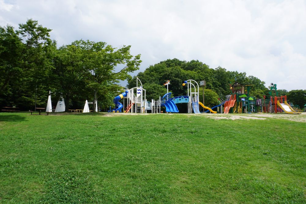 錦織公園の画像 - 5枚目