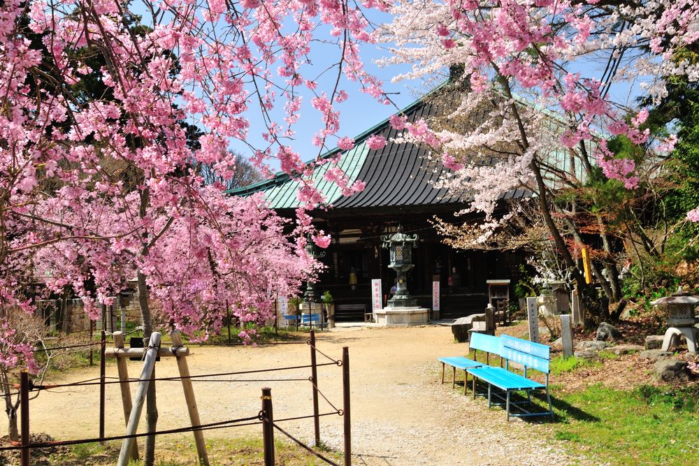 施福寺の画像 - 3枚目