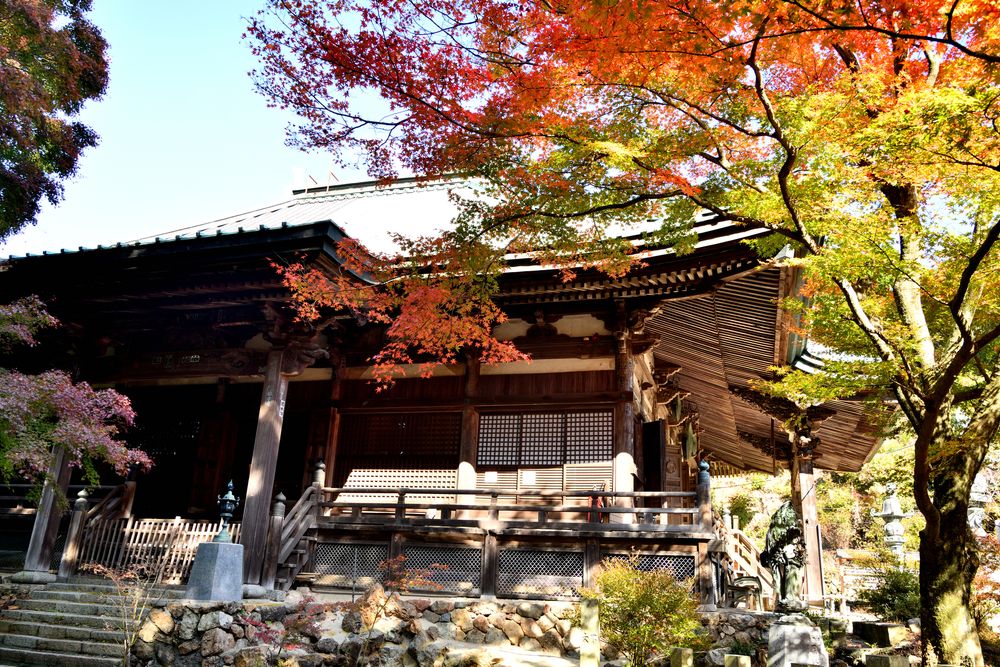 施福寺の画像 - 4枚目