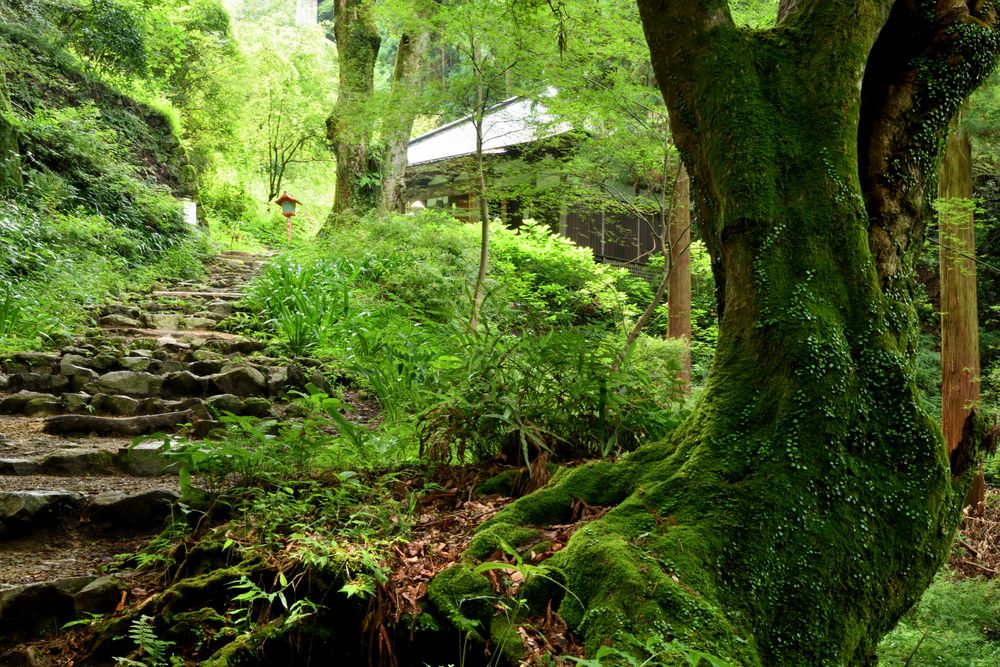 施福寺の画像 - 5枚目