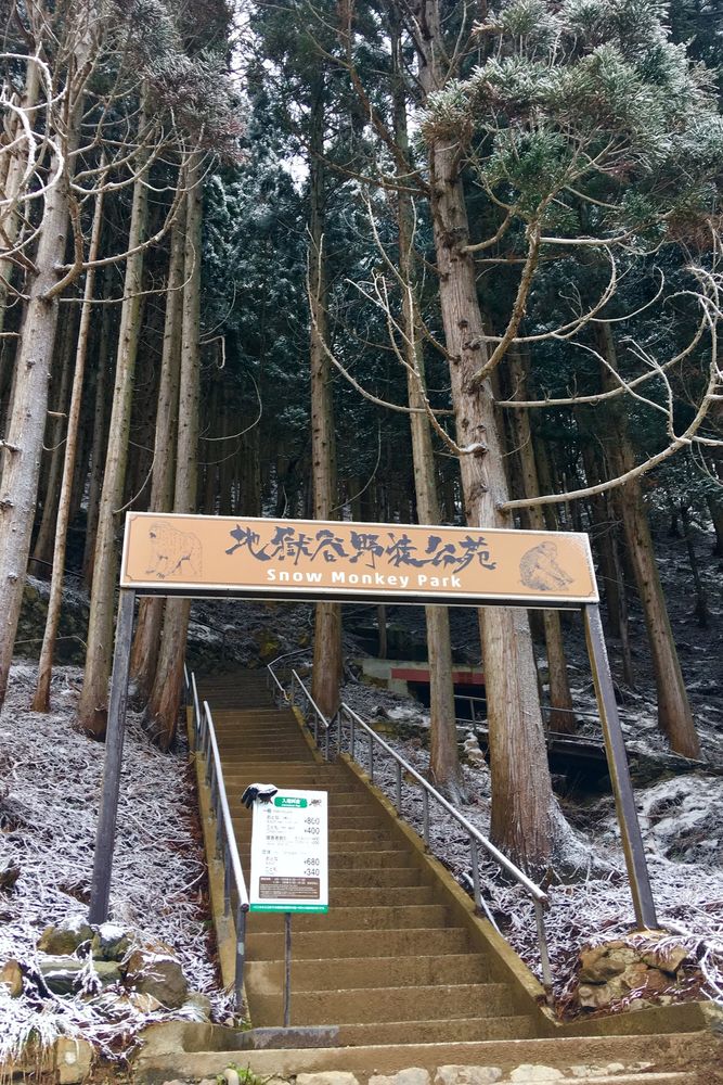 地獄谷野猿公苑 の画像 - 2枚目