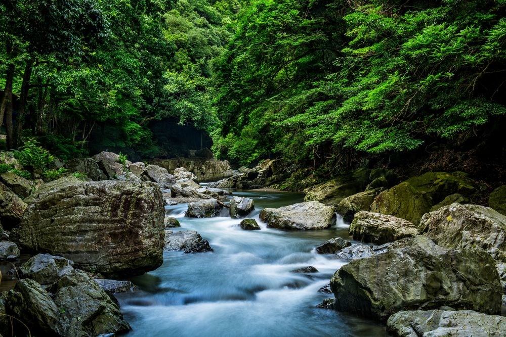 摂津峡公園の画像 - 3枚目