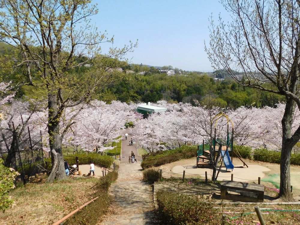 摂津峡公園の画像 - 4枚目