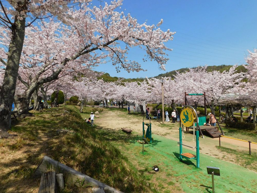 摂津峡公園の画像 - 5枚目