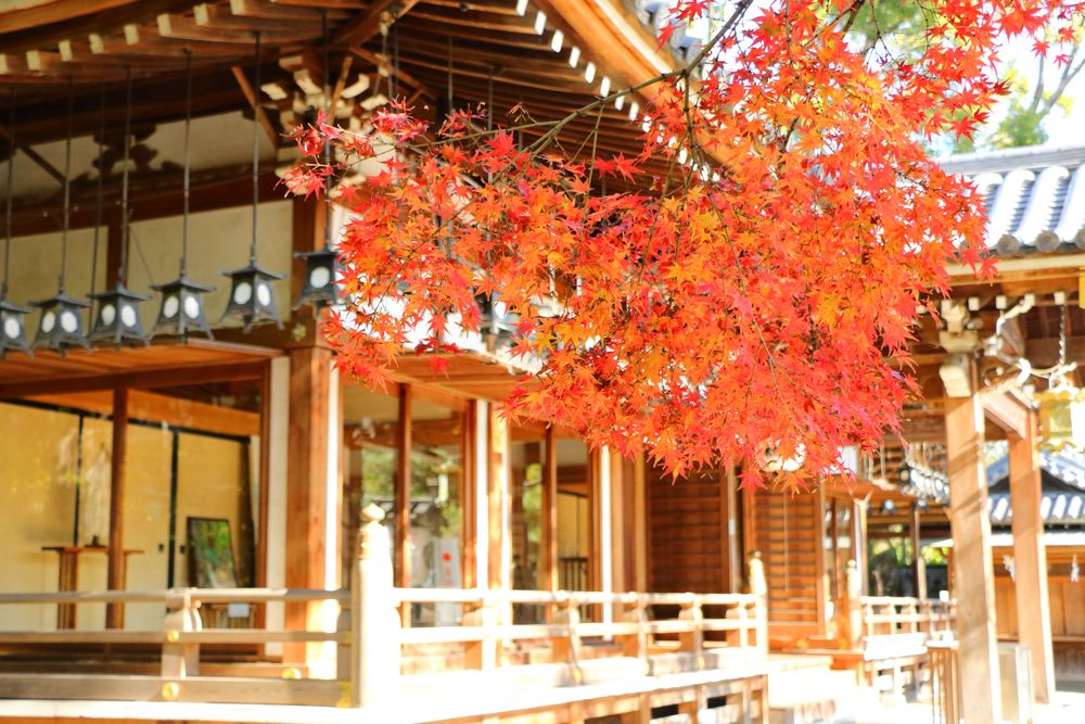 杭全神社の画像 - 5枚目