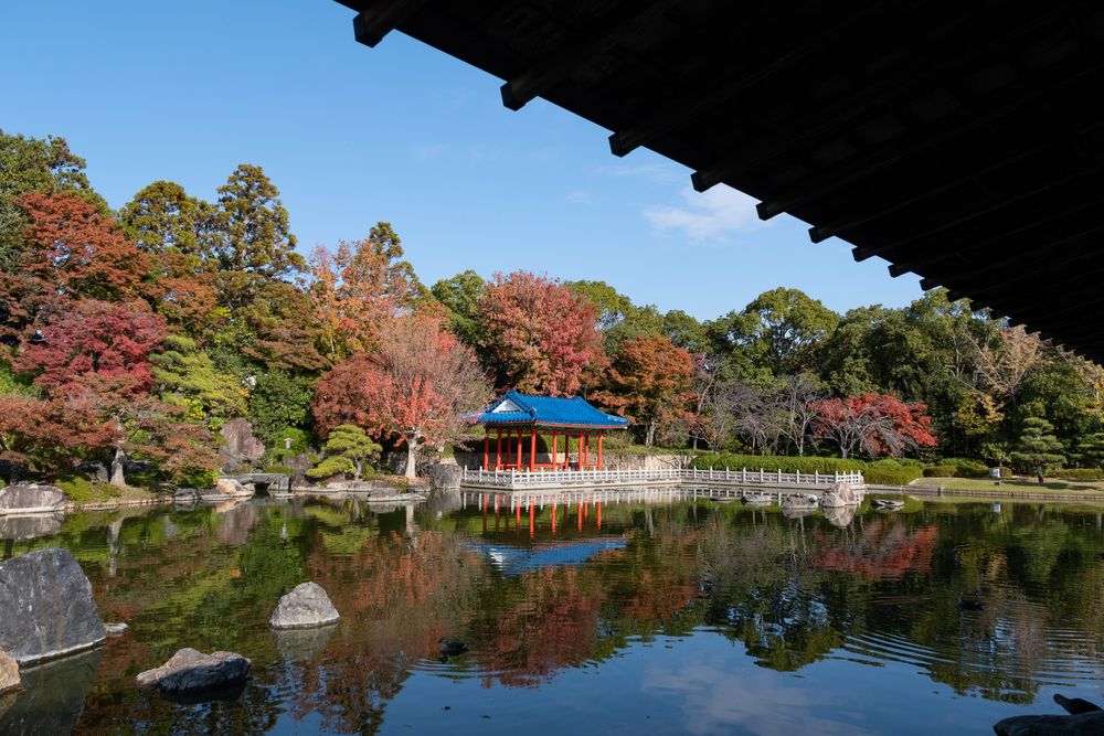 大仙公園 日本庭園の画像 - 5枚目