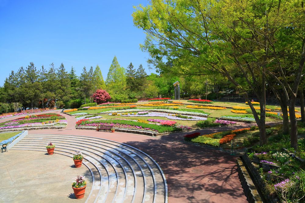 大阪府立花の文化園（植物園）の画像 - 2枚目