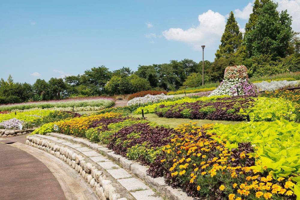 大阪府立花の文化園（植物園）の画像 - 3枚目