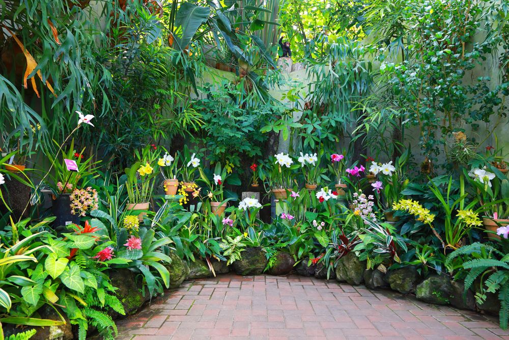 大阪府立花の文化園（植物園）の画像 - 5枚目