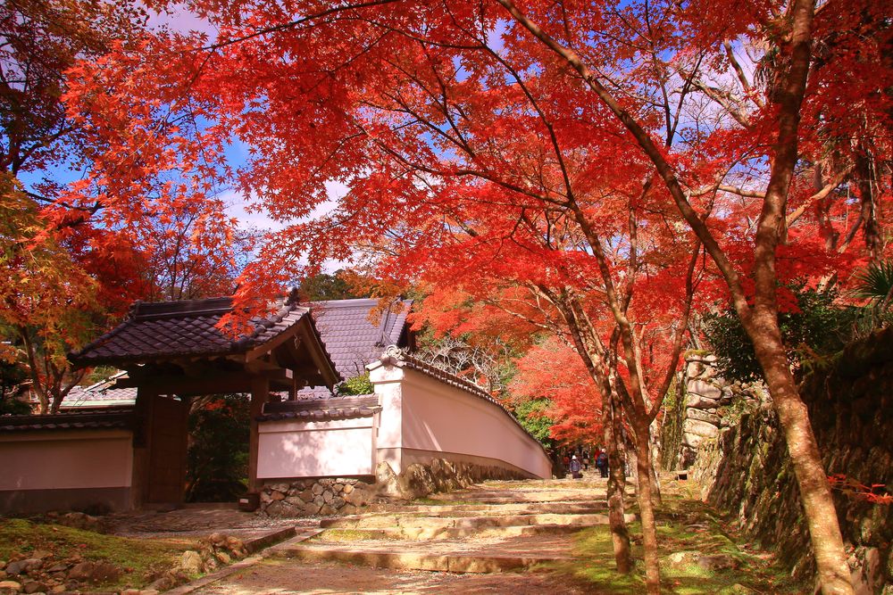 神峯山寺の画像 - 2枚目