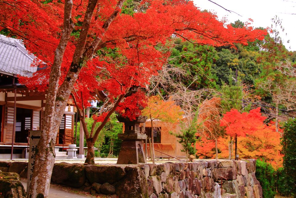 神峯山寺の画像 - 3枚目