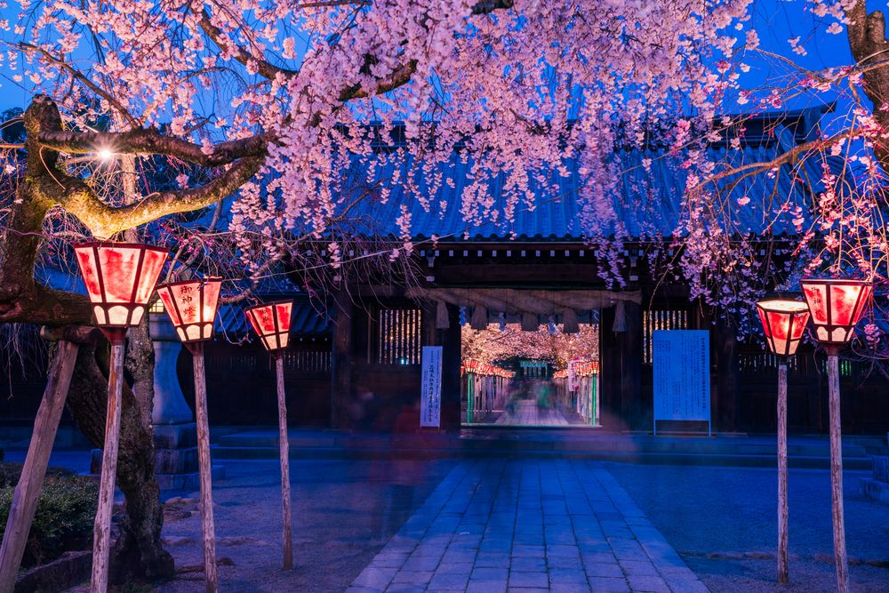 三嶋大社の画像 - 2枚目
