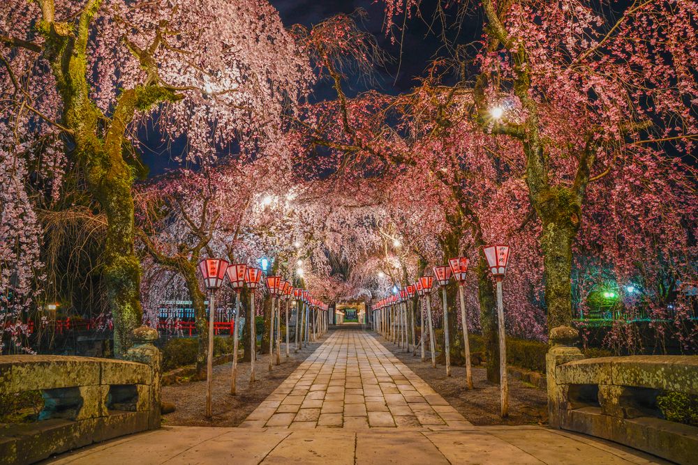 三嶋大社の画像 - 3枚目
